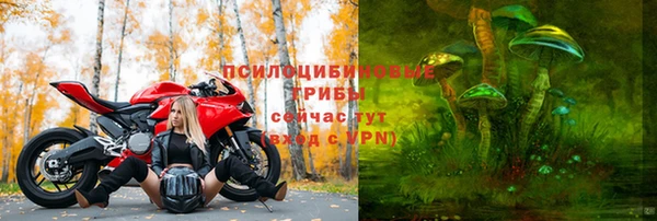 МДПВ Краснотурьинск