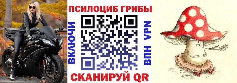 Псилоцибиновые грибы GOLDEN TEACHER  Комсомольск 